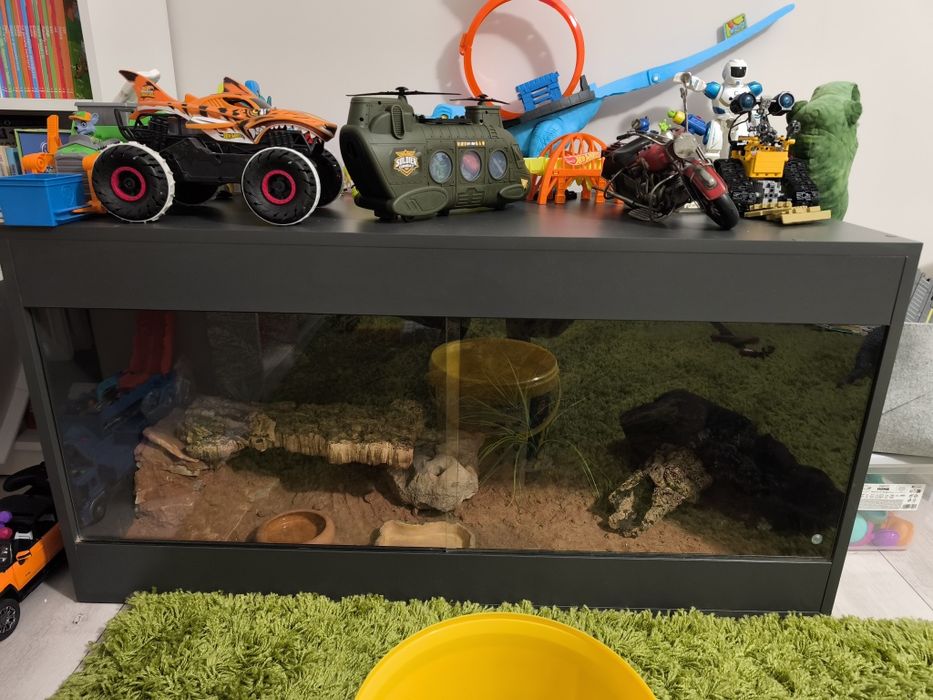 Terrarium dla agamy brodatej 120×60×60 cm – pełne wyposażenie