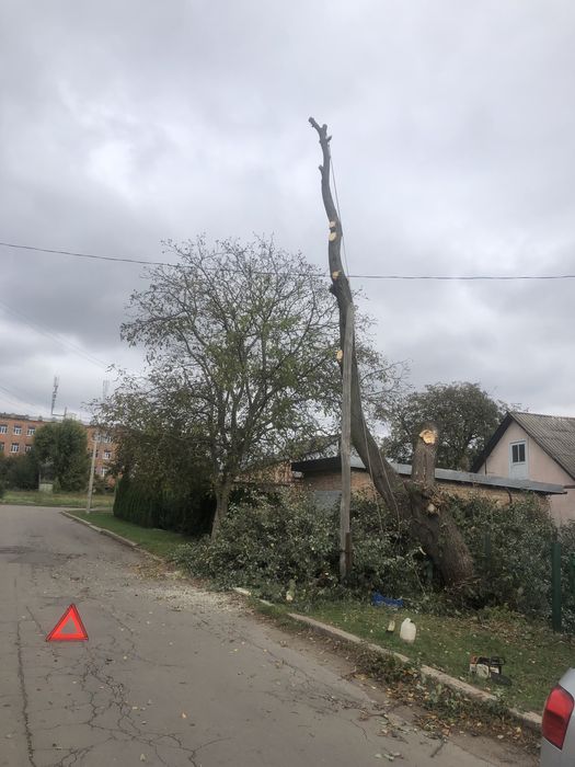 Зрізання дерев, обрізка валка дерев, спилювання, чистка ділянок,