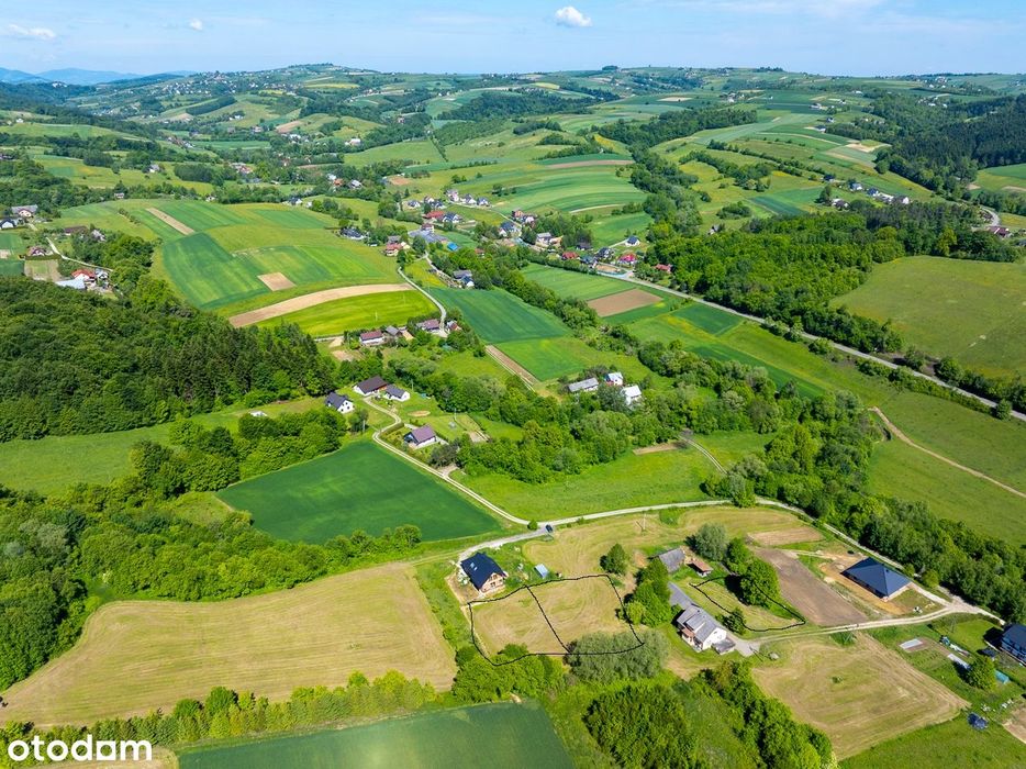 Działki w m Korzenna do sprzedania BEZPOŚREDNIO - Widok 5
