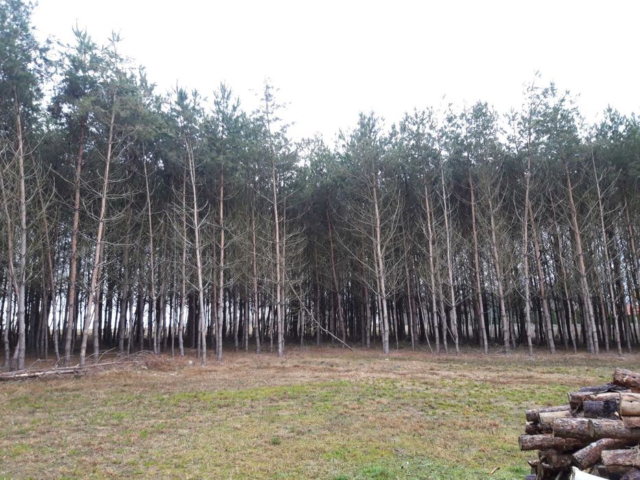 Noclegi pokoje do wynajęcia  kwatery pracownicze Kutno