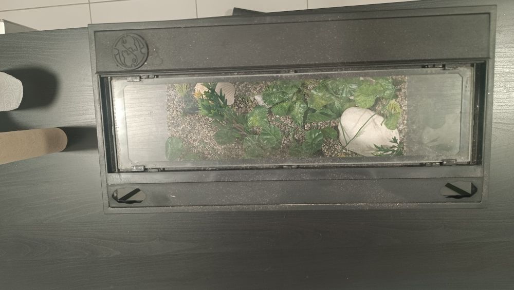 Terrário/aquário