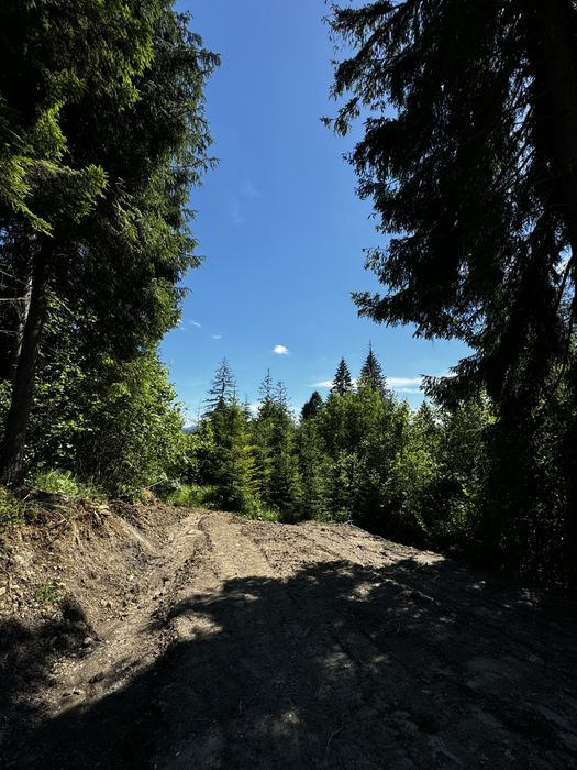 Земельна ділянка Славсько з док Будівництво 48 соток