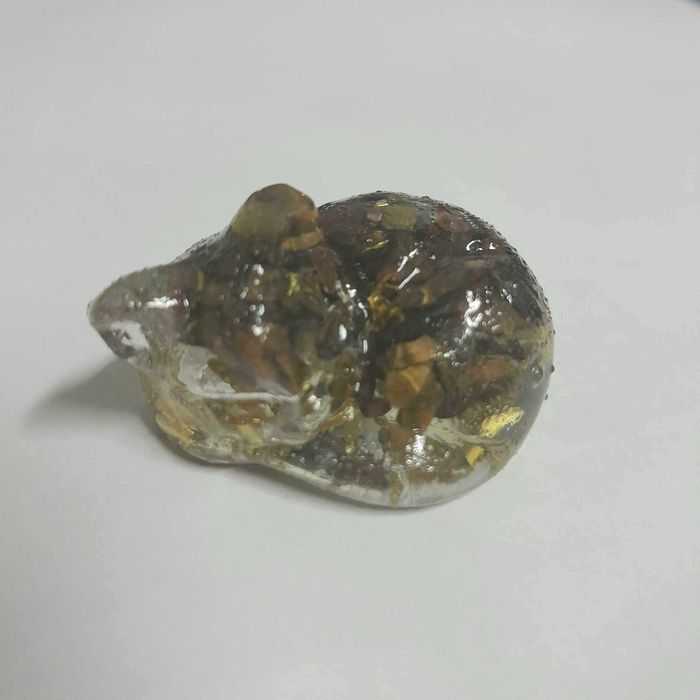 Gato a dormir em Resina