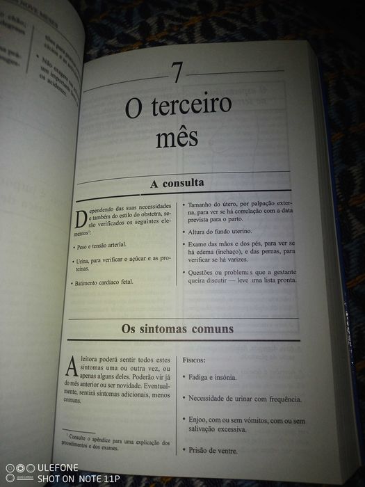 Livro de instruções para uma gravidez bem sucedida