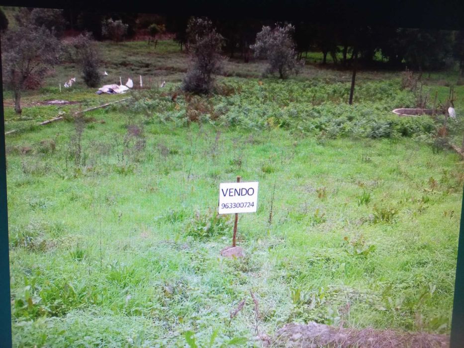 Terreno construção - Penedo - Vila de Rei