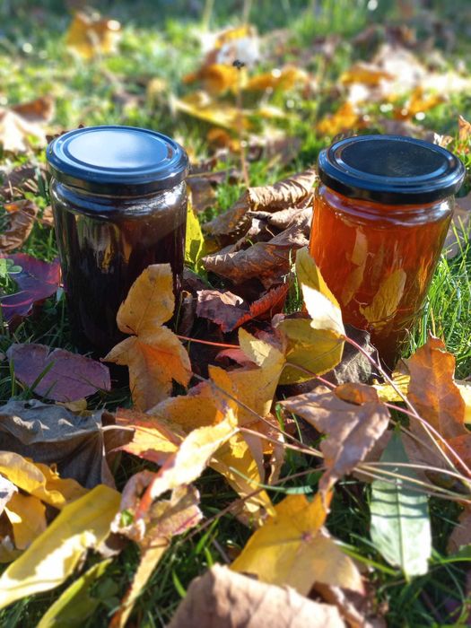 Mel multifloral e mel de castanheiro e melada de carvalho 2025