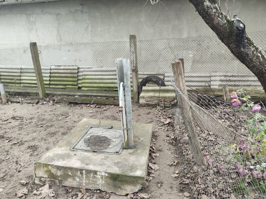 Хата, літня кухня, сараї, город