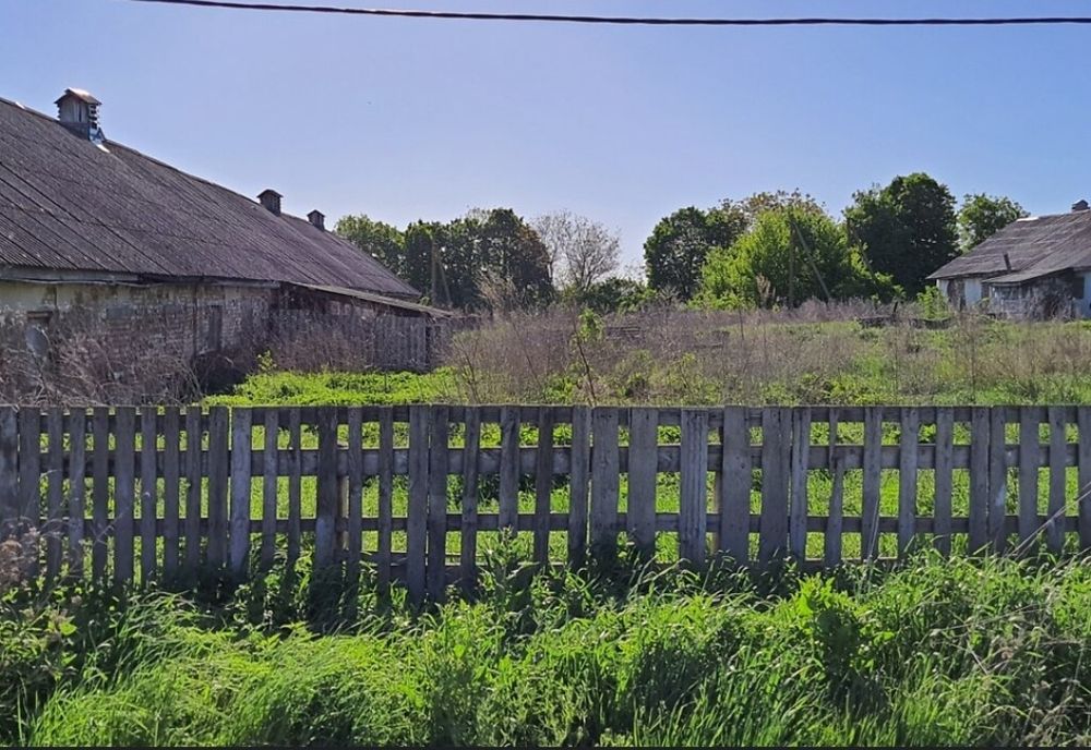 Продам свинарники