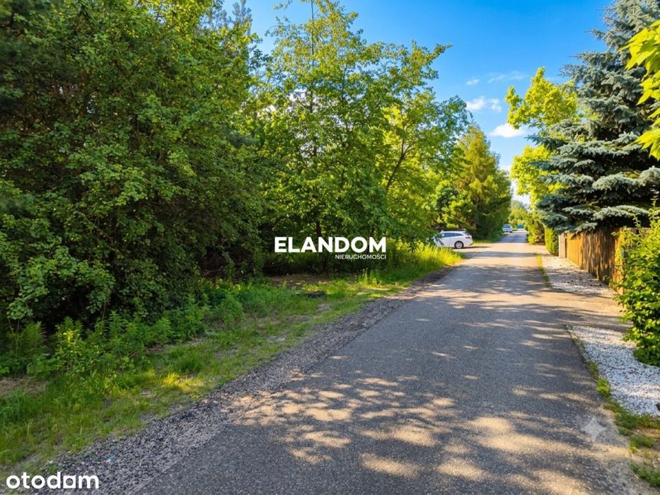 Jabłonna - działka budowlana przy lesie - Widok 5