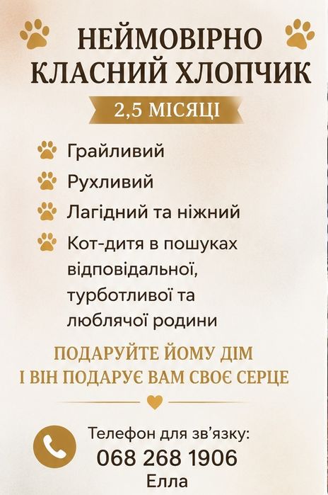 Шикарний хлопчик, 2,5 місяці!