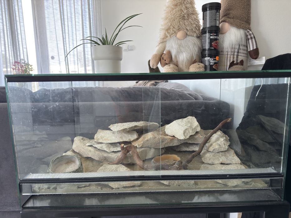Terrarium z stolikiem