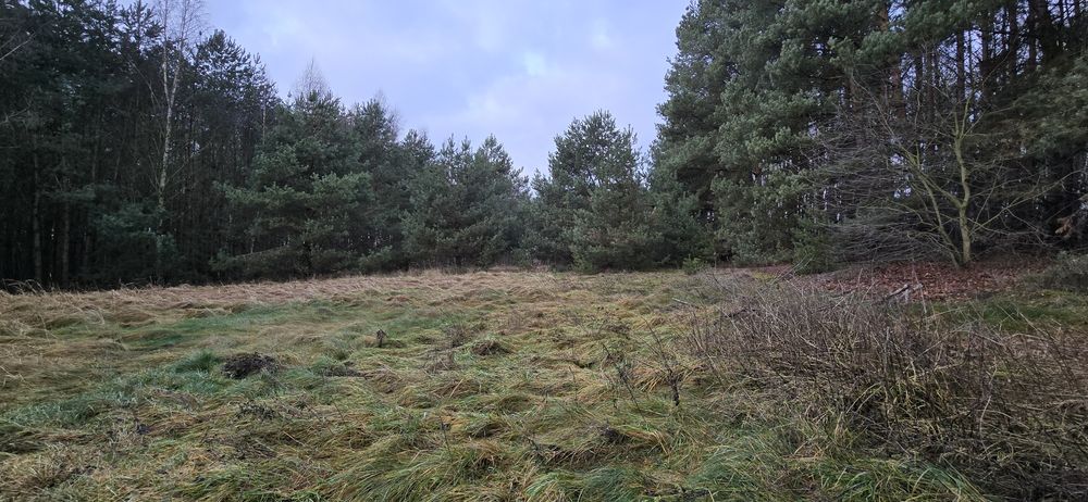 Dom – Koło, Warszawskie Przedmieście, powiat kolski - Widok 2