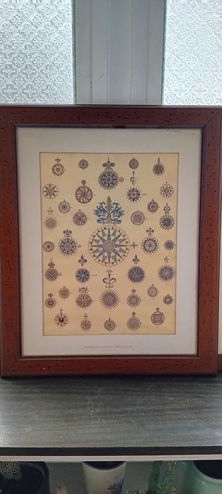 Quadro motivos náuticos