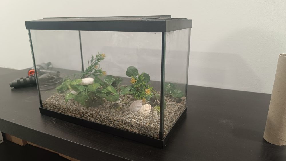 Terrário/aquário