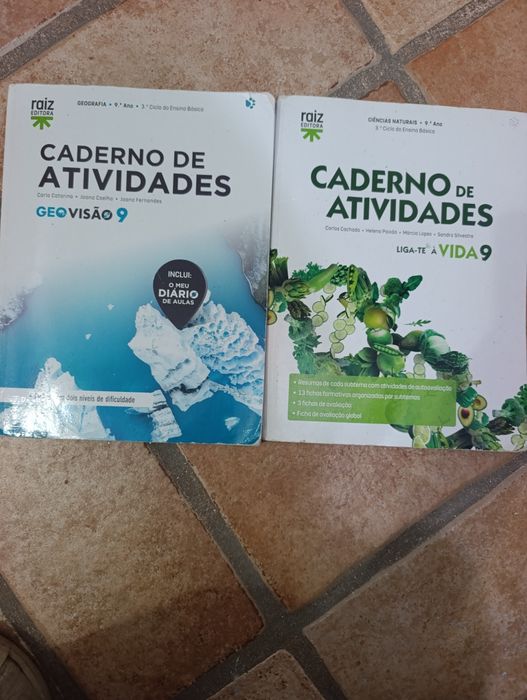 Livros de fichas 9.° ano