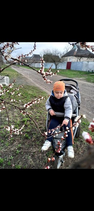 Прогулочная коляска