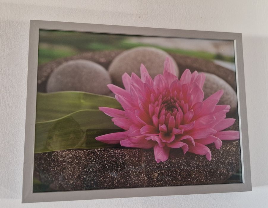 Quadros decoração