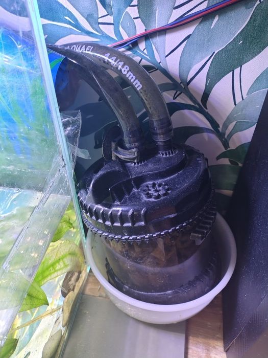 Sprzedam akwarium z całą zawartością 70x35x35cm