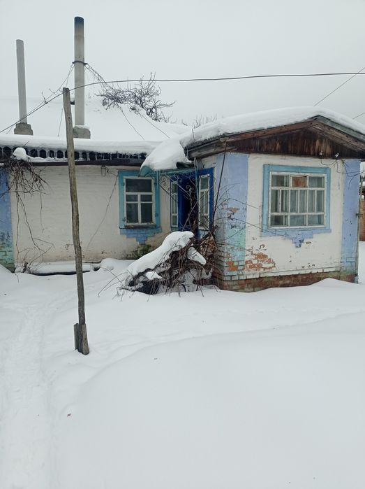 Будинок та 25 сот землі під містом.