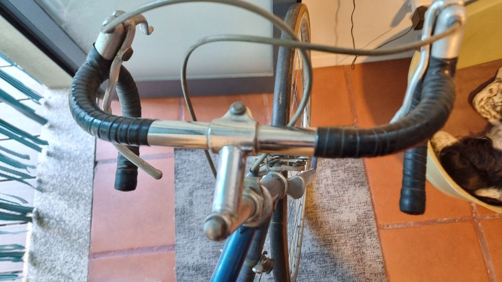 Bicicleta Vintage