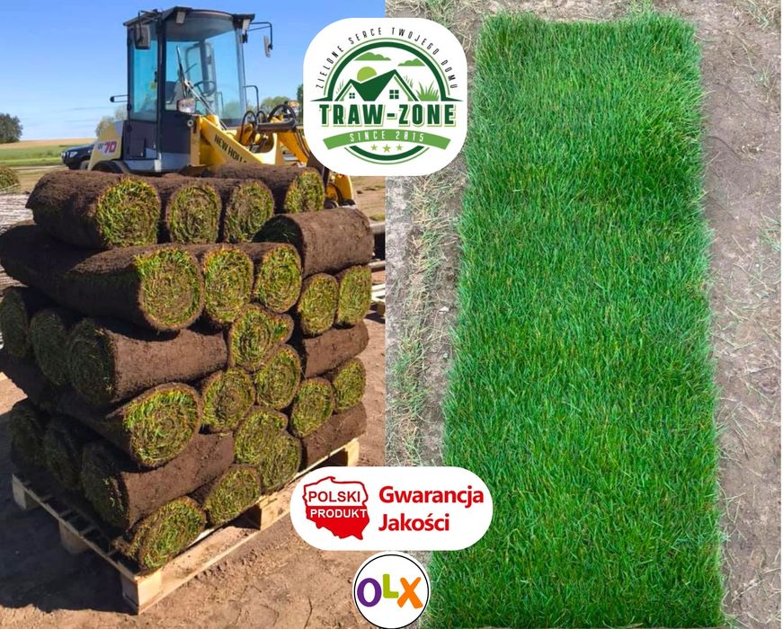 -> TRAWA w Rolkach Ogrodowa | TRANSPORT | Producent Polski