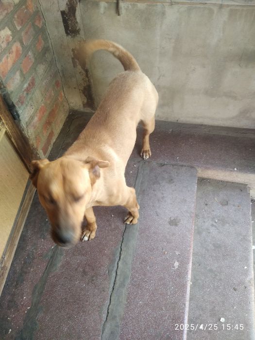 Потрібна допомога дуже сильно