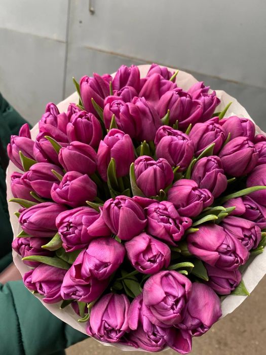 ХІТ! Український тюльпан / гурт опт / від 30 грн / висота до 50 см