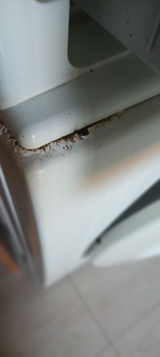 Máquina Samsung Eco Bubble 7kg