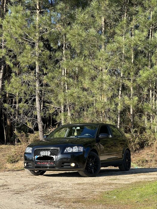 Audi A3 8P 2.0 tdi 170cv
