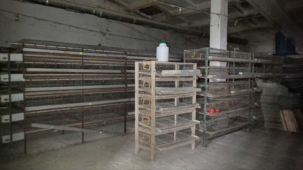 !!! Продається  ферма для ведення птахо-бізнесу