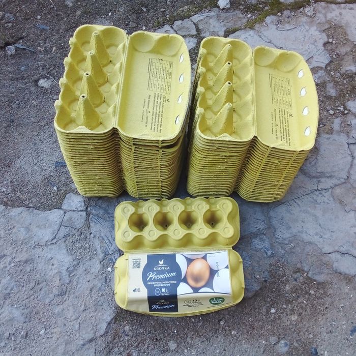 Контейнер лотки для яиц