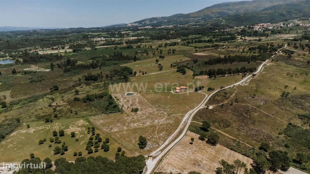 Quinta / Seia, Pinhanços