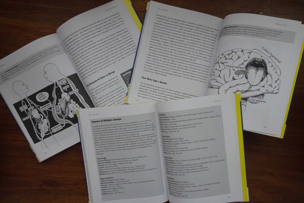 You A Sua Dieta - O Manual de Instruções Para Ter O Corpo Ideal