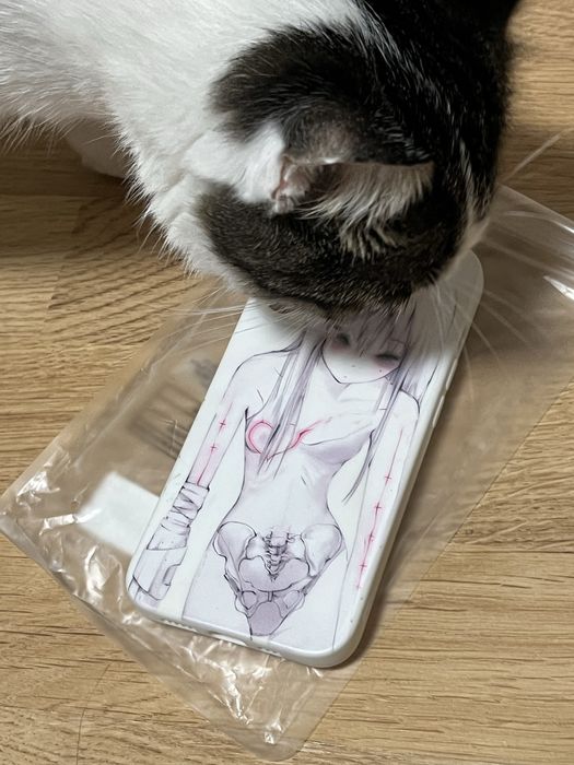Чохол iPhone 13 Pro