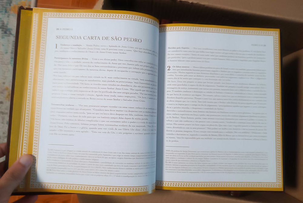 Bíblia Sagrada Ilustrada - 15 Volumes, Coleção Completa 2004