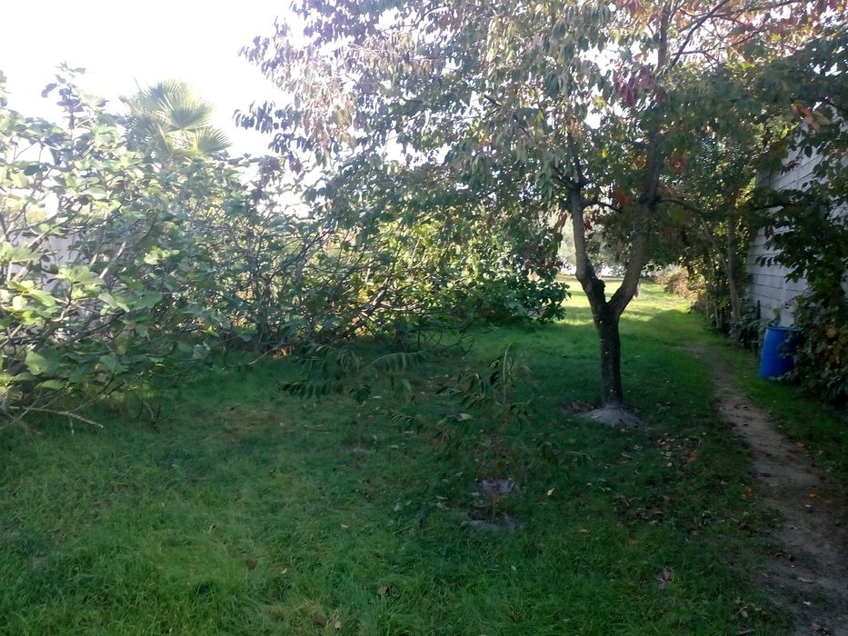 QUINTA Situada a 1800 M  da CIDADE de PONTE de SOR