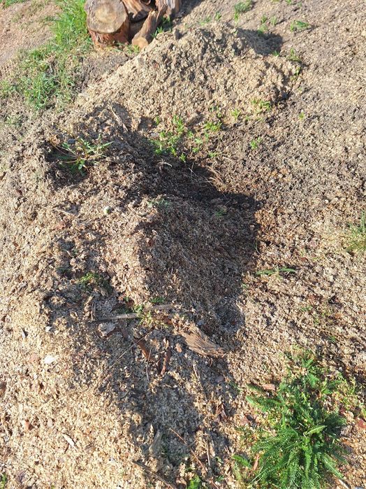 Trociny - opal na wode