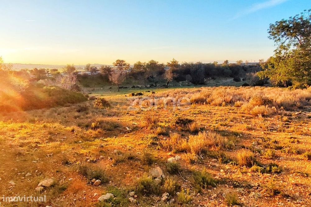 Terreno Rústico – Tunes, Silves | 1.480 m²