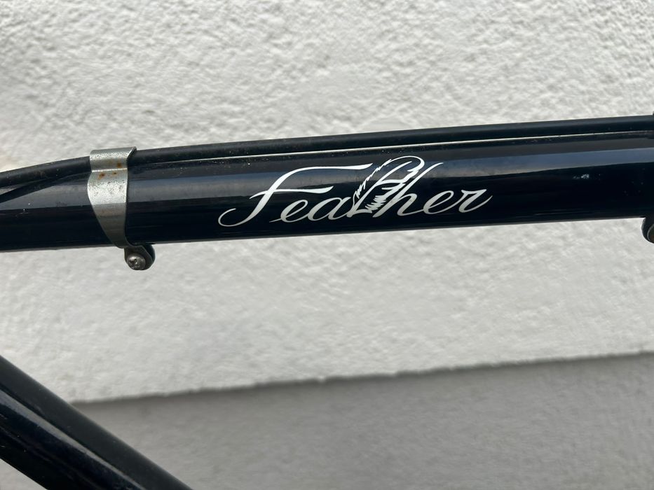 rower fuji feather