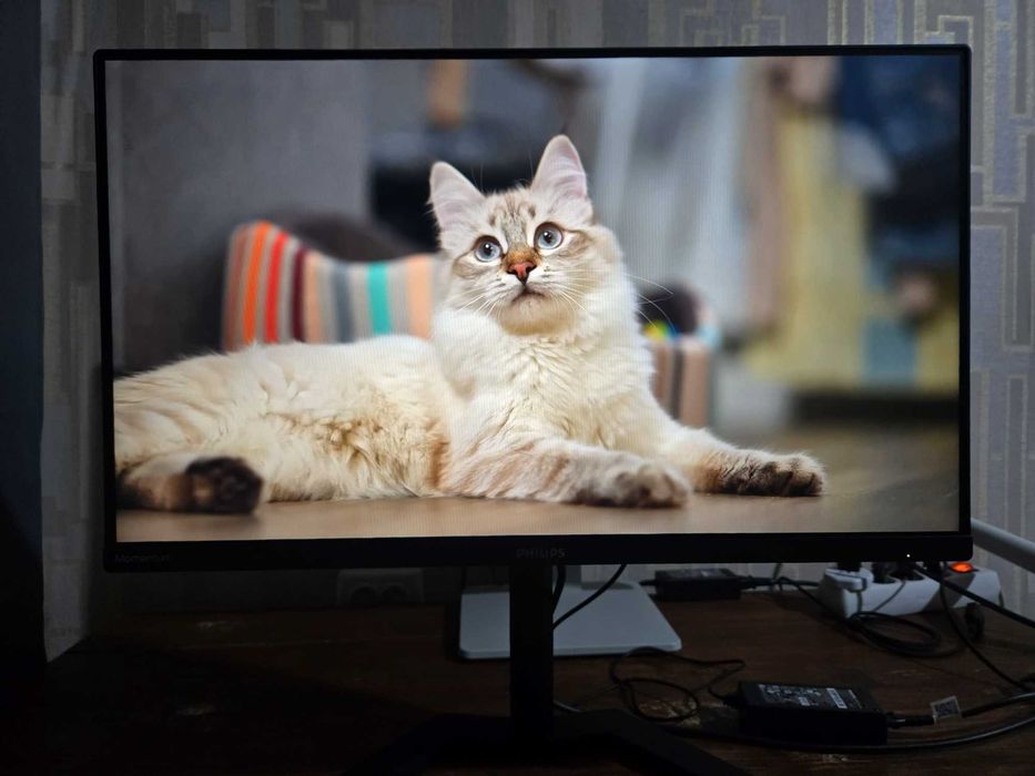 Монітор Philips 23.8" 165гц