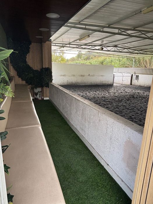 Aceitamos cavalos a penso