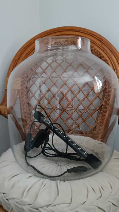 Duży szklany słòj ,Lampa do roślin