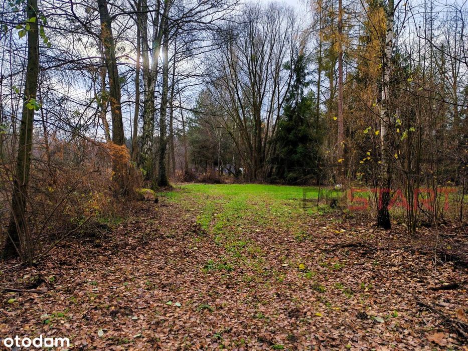 Urokliwa działka w idealnej lokalizacji - Widok 2