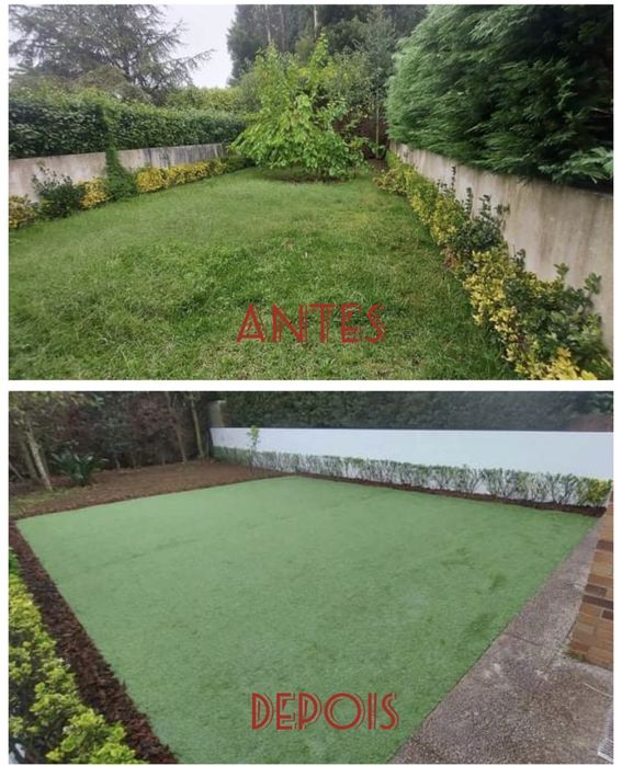 Serviços Jardinagem Ricardo Pinto