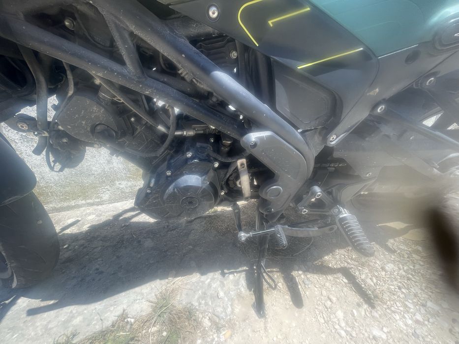Benelli leoncino
