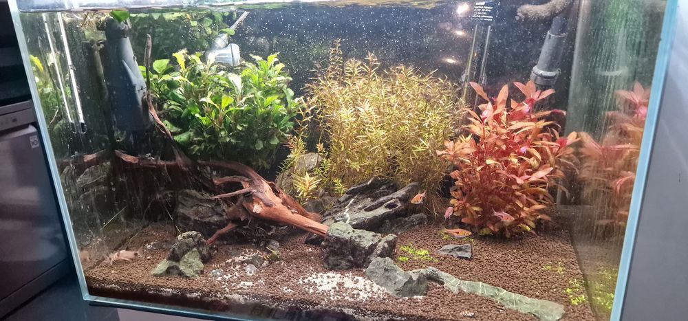 Aquário 80x40 kit completo