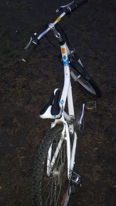 Rower Giant  24"
