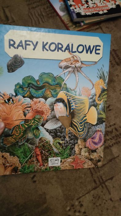 Świat zwierząt rafy koralowe