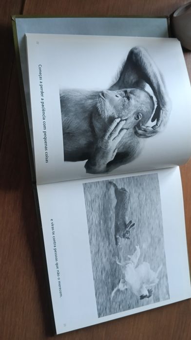 Livro qual é a pressa