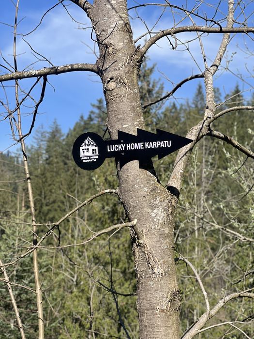 Оренда будинку/котеджу в серці Карпат, ЧАН. Микуличин